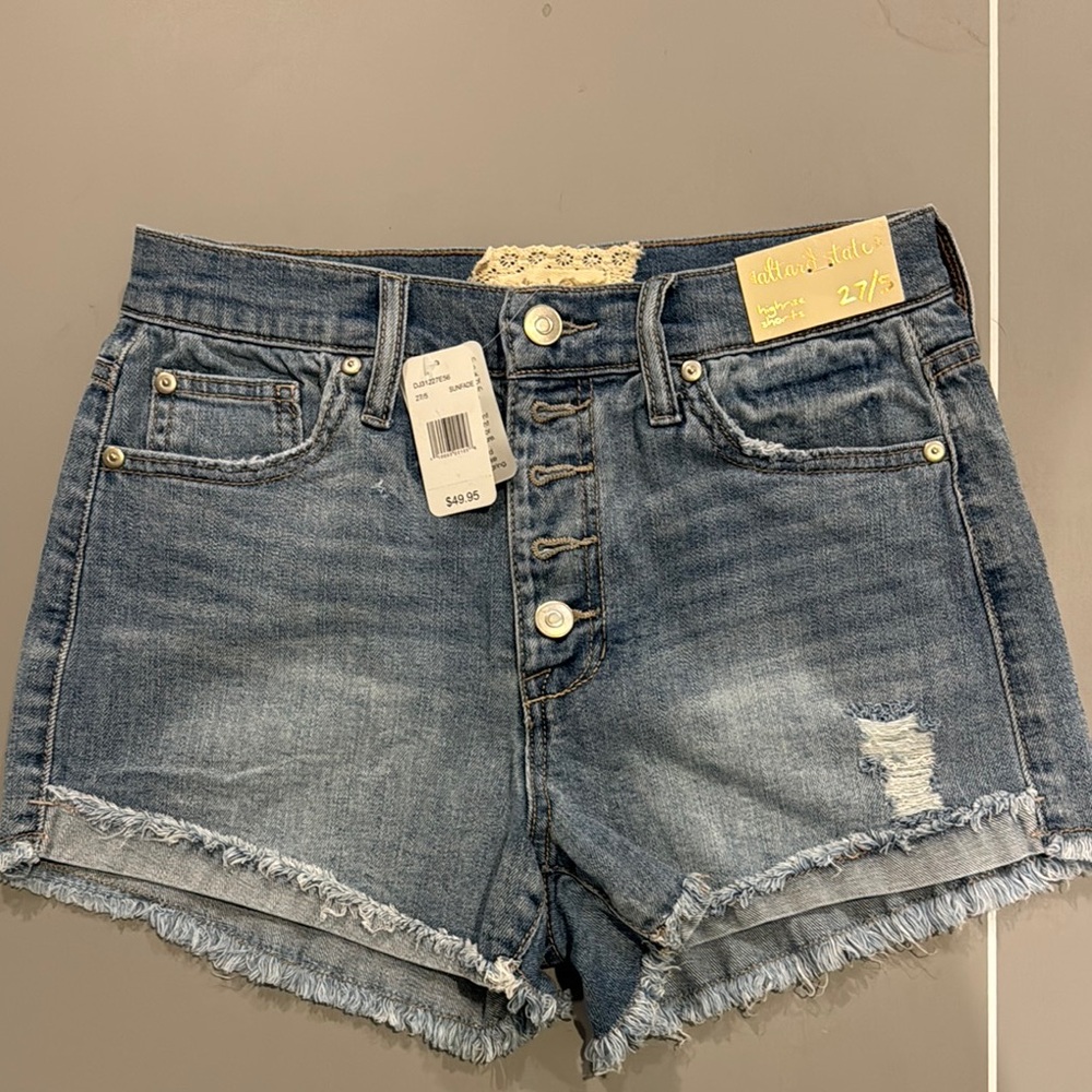 Altar'd State Blue Denim Shorts